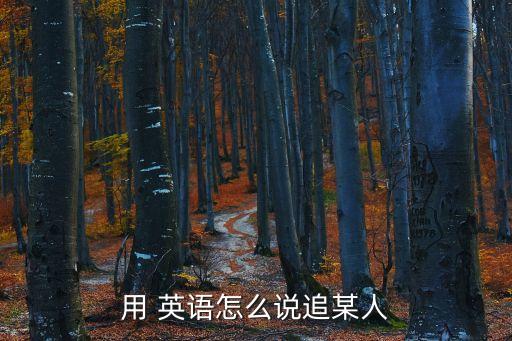 用 英語(yǔ)怎么說(shuō)追某人