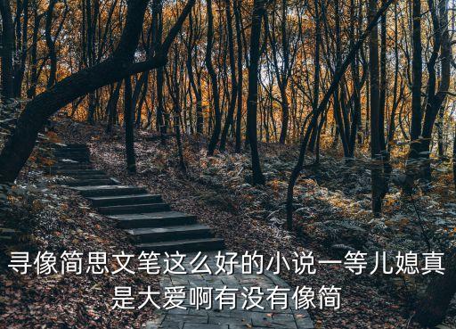 一等兒媳，尋像簡思文筆這么好的小說一等兒媳真是大愛啊有沒有像簡
