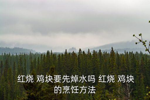  紅燒 雞塊要先焯水嗎 紅燒 雞塊的烹飪方法