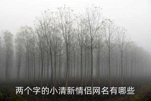 兩個字的小清新情侶網名有哪些