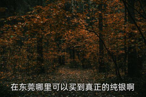 在東莞哪里可以買到真正的純銀啊