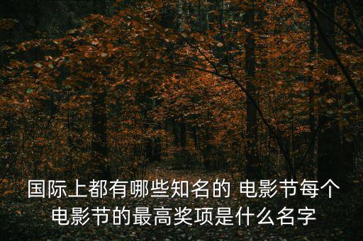  國際上都有哪些知名的 電影節每個 電影節的最高獎項是什么名字