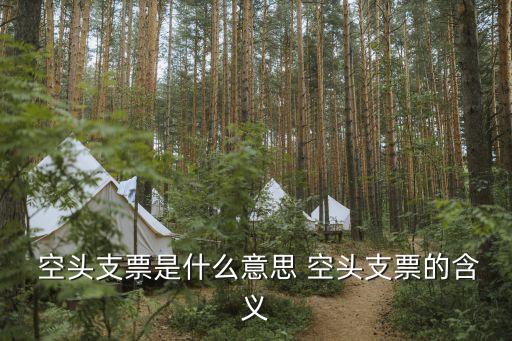 空頭支票,出票人得簽發空頭支票否則屬違反票據法行為