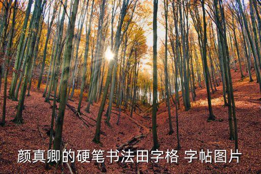 多寶塔碑字帖高清大字,顏真卿書法作品欣賞