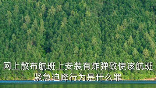 網上散布航班上安裝有炸彈致使該航班緊急迫降行為是什么罪