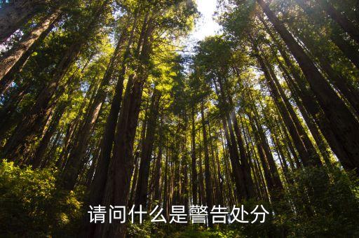 請問什么是警告處分