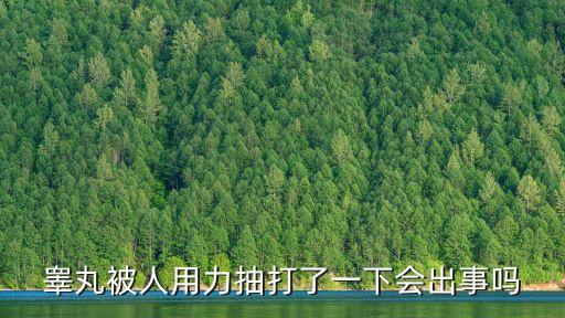 睪丸被人用力抽打了一下會出事嗎