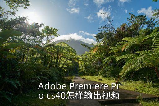 Adobe Premiere Pro cs40怎樣輸出視頻