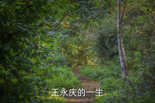 王永慶，王永慶的一生