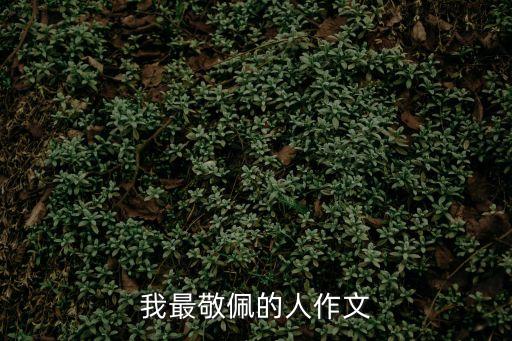 我最敬佩的人作文