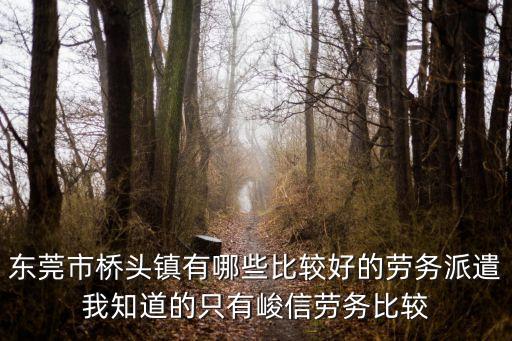 東莞市橋頭鎮有哪些比較好的勞務派遣我知道的只有峻信勞務比較