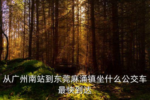 從廣州南站到東莞麻涌鎮(zhèn)坐什么公交車最快到達(dá)