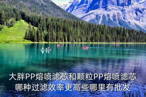 大胖PP熔噴濾芯和顆粒PP熔噴濾芯哪種過濾效率更高些哪里有批發
