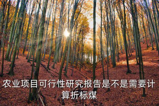 農業項目可行性研究報告是不是需要計算折標煤
