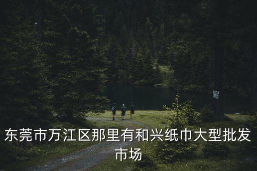 東莞市萬江區(qū)那里有和興紙巾大型批發(fā)市場