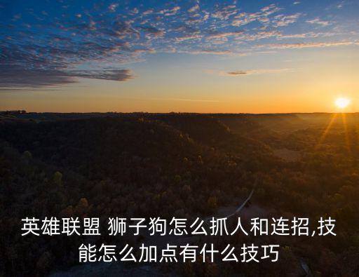 獅子狗連招,前期太脆弱不建議用四星獅子狗和五星狗