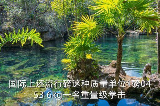 重量級拳擊，國際上還流行磅這種質(zhì)量單位1磅0453 6kg一名重量級拳擊