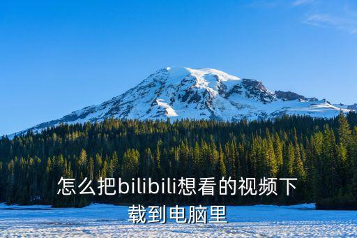 怎么把bilibili想看的視頻下載到電腦里