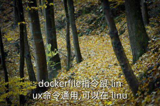 dockerfile指令跟 linux命令通用,可以在 linu