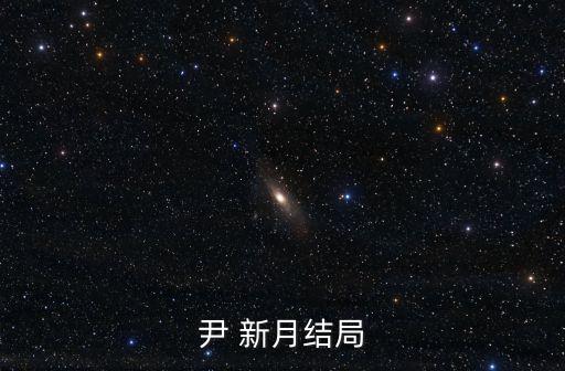 尹 新月結局