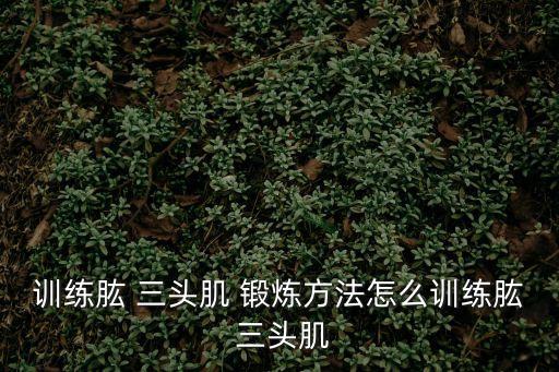 三頭肌鍛煉方法,這些健身動作你必須學(xué)的
