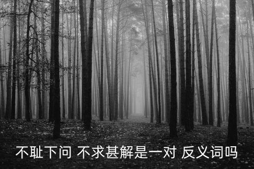 不求甚解的反義詞,只求大概不求透徹理解