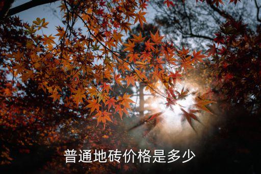 普通地磚價格是多少