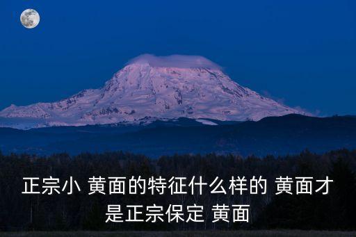 正宗小 黃面的特征什么樣的 黃面才是正宗保定 黃面