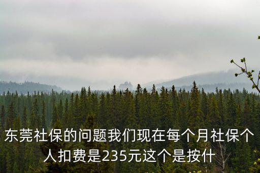 東莞社保的問題我們現在每個月社保個人扣費是235元這個是按什