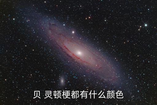貝靈頓梗,若貝類靈頓梗有咬人傾向主人需首時間進行訓斥