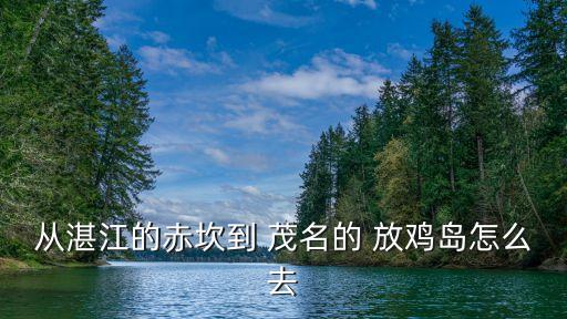 從湛江的赤坎到 茂名的 放雞島怎么去