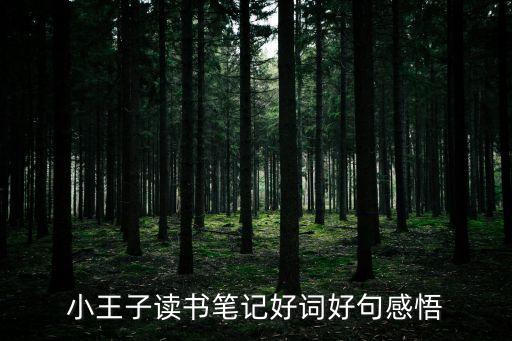 小王子讀書筆記好詞好句感悟