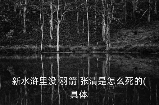 沒羽箭張清,戰(zhàn)死梁山第三名士兵