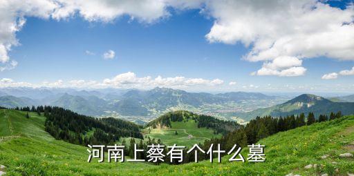河南上蔡有個什么墓
