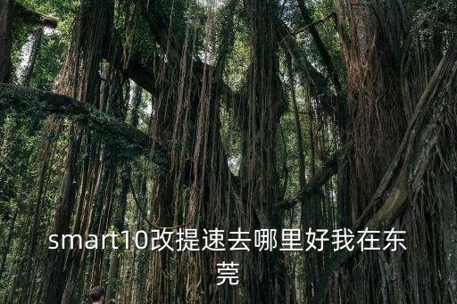 smart10改提速去哪里好我在東莞