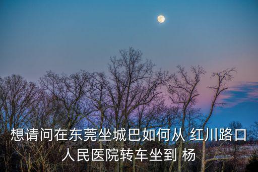 想請問在東莞坐城巴如何從 紅川路口人民醫院轉車坐到 楊