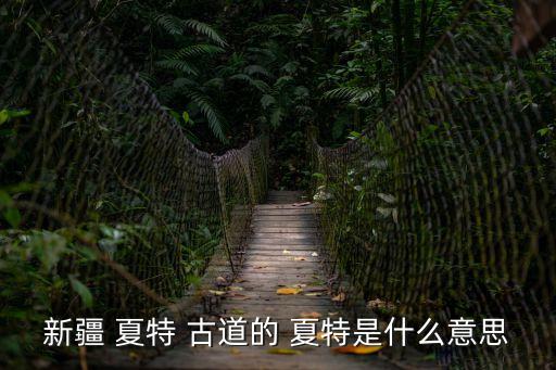 新疆 夏特 古道的 夏特是什么意思