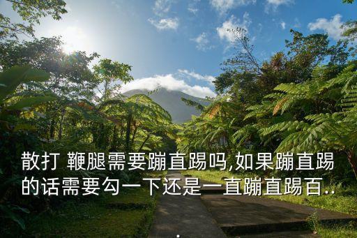 鞭腿的正確踢法,怎么練?基本動(dòng)作