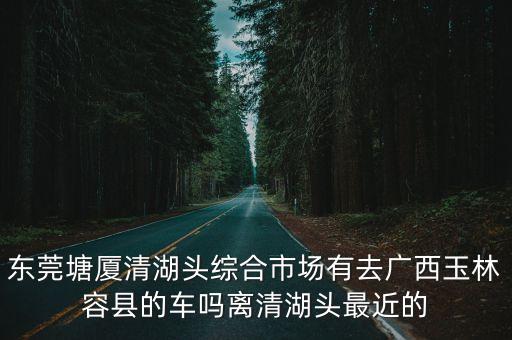 東莞塘廈清湖頭綜合市場有去廣西玉林容縣的車嗎離清湖頭最近的