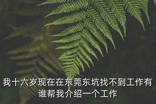 東莞東坑財富大廈招保安，我十六歲現(xiàn)在在東莞東坑找不到工作有誰幫我介紹一個工作