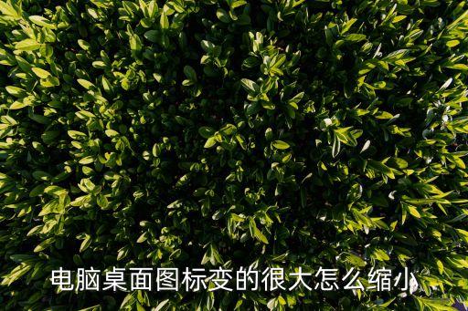 電腦桌面圖標變的很大怎么縮小