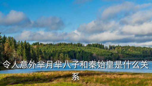 羋八子和秦始皇的關(guān)系，令人意外羋月羋八子和秦始皇是什么關(guān)系