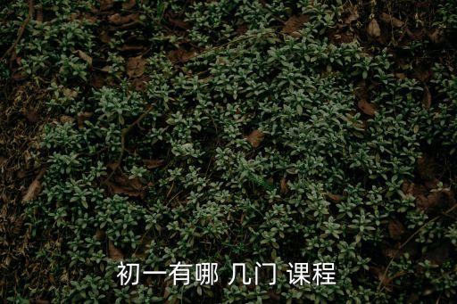 七年級有幾門課程,八年級不再學生物地理學九年級加物理化學