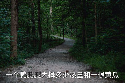 鴨腿的熱量，醬汁鴨腿的熱量是多少