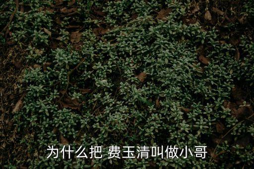 費玉清的哥哥,費玉清是兄弟還是藝人?