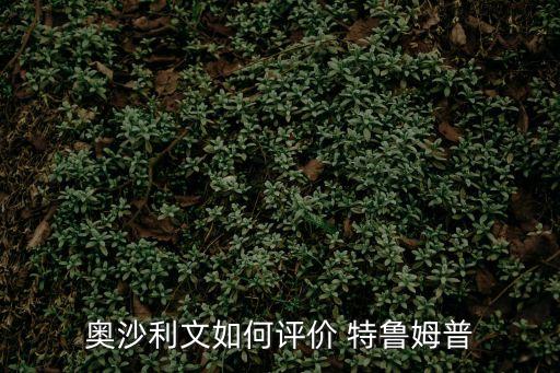特魯姆普,特魯姆普的火箭之謎