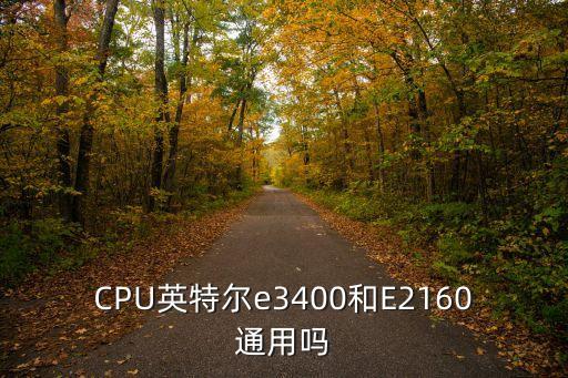 e2160,酷睿賽揚系列雙核雙線程顯示芯片出得晚