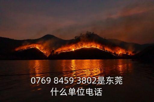 東莞泰盛勞務電話，0769 8459 3802是東莞什么單位電話