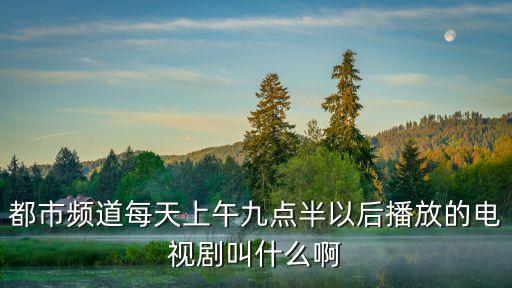 都市頻道每天上午九點半以后播放的電視劇叫什么啊