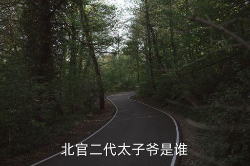 北官二代太子爺是誰